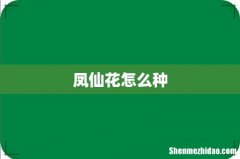 凤仙花怎么种