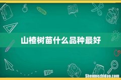 山楂树苗什么品种最好