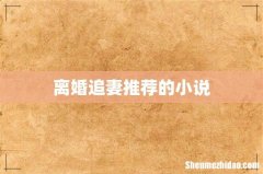 离婚追妻推荐的小说