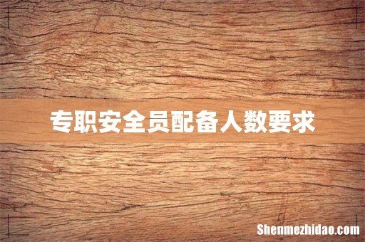 专职安全员配备人数要求