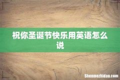 祝你圣诞节快乐用英语怎么说