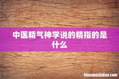 中医精气神学说的精指的是什么