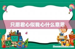 只愿君心似我心什么意思