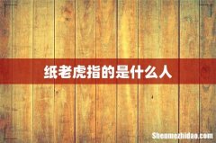 纸老虎指的是什么人
