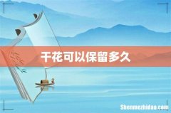 干花可以保留多久