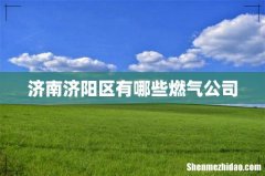 济南济阳区有哪些燃气公司