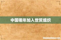 中国哪年加入世贸组织