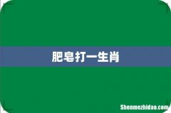肥皂打一生肖