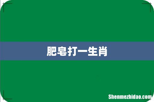 肥皂打一生肖