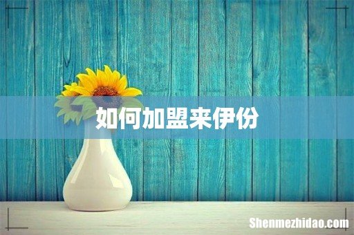 如何加盟来伊份