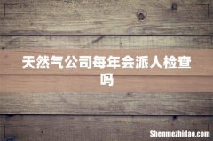 天然气公司每年会派人检查吗