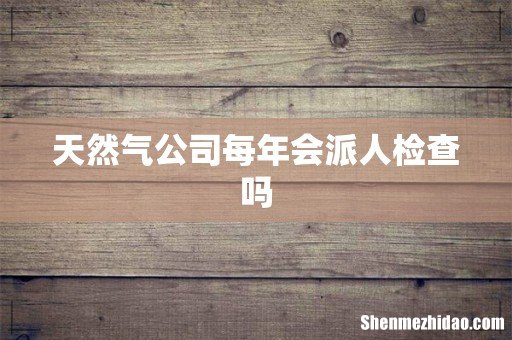 天然气公司每年会派人检查吗