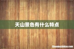 天山景色有什么特点