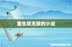 重生就无敌的小说