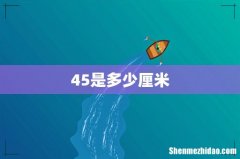 45是多少厘米
