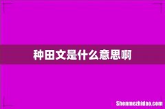 种田文是什么意思啊
