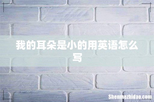 我的耳朵是小的用英语怎么写