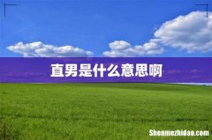 直男是什么意思啊