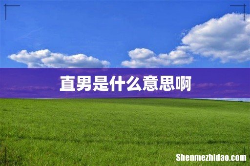 直男是什么意思啊