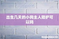 出生几天的小狗主人陪护可以吗