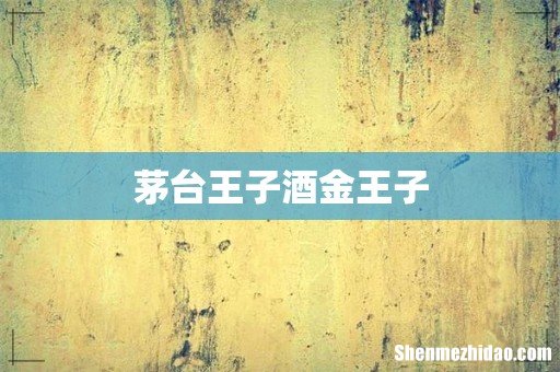 茅台王子酒金王子
