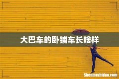 大巴车的卧铺车长啥样