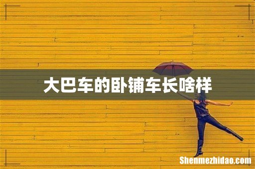 大巴车的卧铺车长啥样