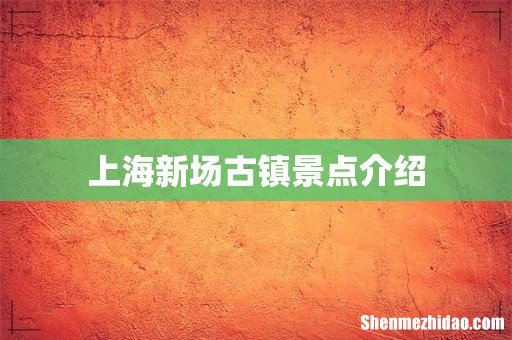 上海新场古镇景点介绍