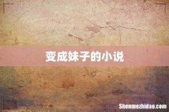 变成妹子的小说
