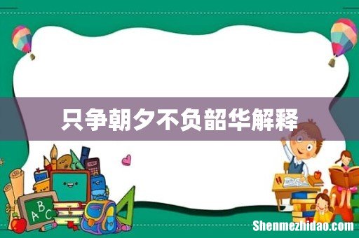 只争朝夕不负韶华解释