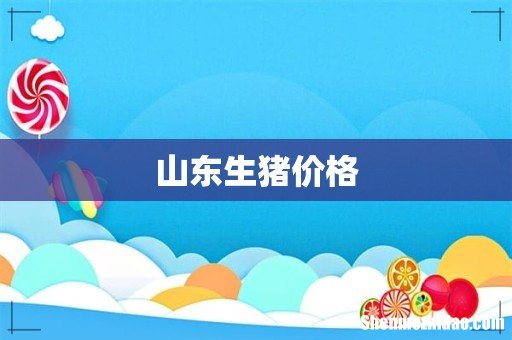 山东生猪价格