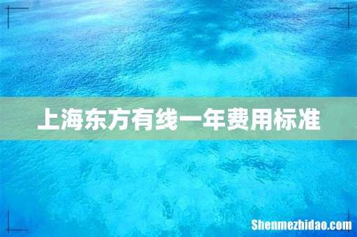 上海东方有线一年费用标准