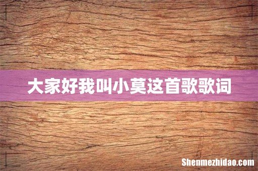 大家好我叫小莫这首歌歌词