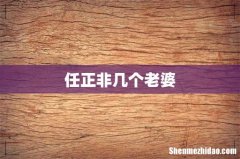 任正非几个老婆