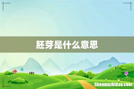 胚芽是什么意思