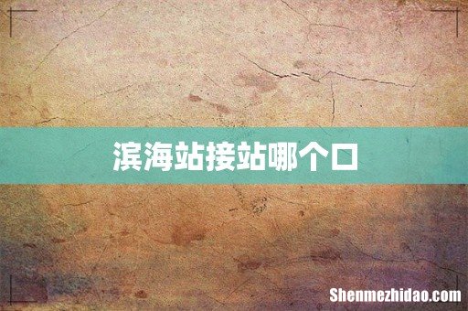 滨海站接站哪个口