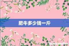 肥牛多少钱一斤