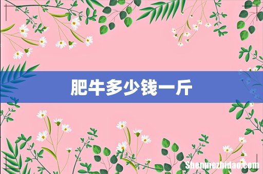 肥牛多少钱一斤