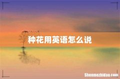 种花用英语怎么说