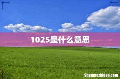 1025是什么意思