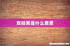 双标男是什么意思