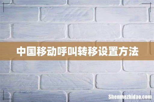 中国移动呼叫转移设置方法