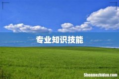专业知识技能