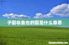 子固非鱼也的固是什么意思