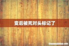 变后被死对头标记了