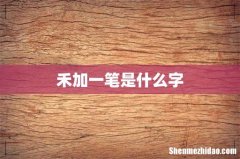 禾加一笔是什么字