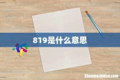 819是什么意思