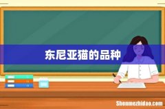 东尼亚猫的品种