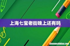 上海七宝老街晚上还有吗