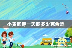 小麦胚芽一天吃多少克合适